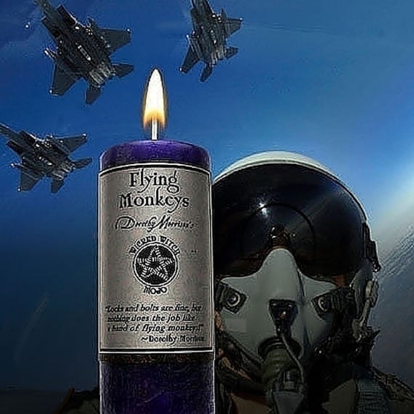 Other - Flying Monkeys